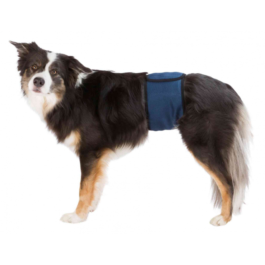 Belly Band for Male Dogs Med 45-55cm