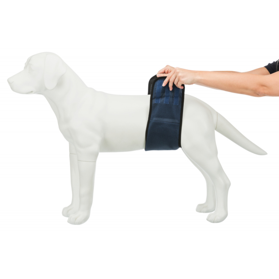 Belly Band for Male Dogs Med 45-55cm