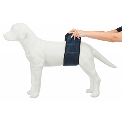 Belly Band for Male Dogs Med 45-55cm