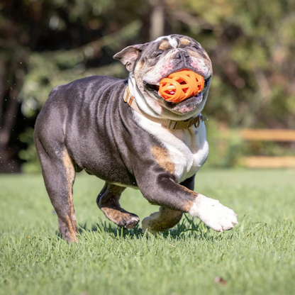 Air Fetch Football