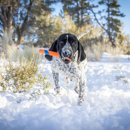 Ultra Fetch Stick