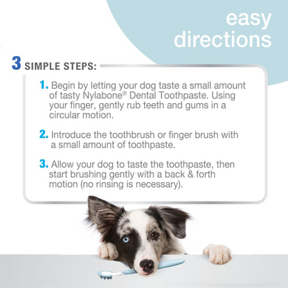 Advanced Oral Care Tartar Control Dog Toothpaste