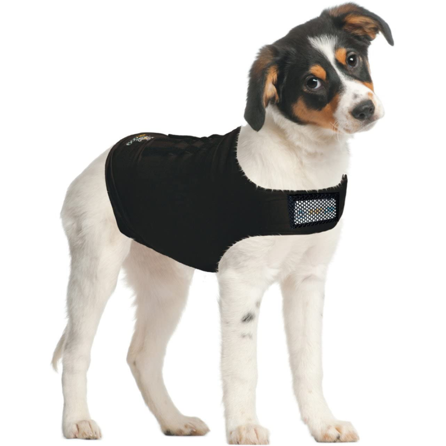 Zendog Compression Shirt - XS