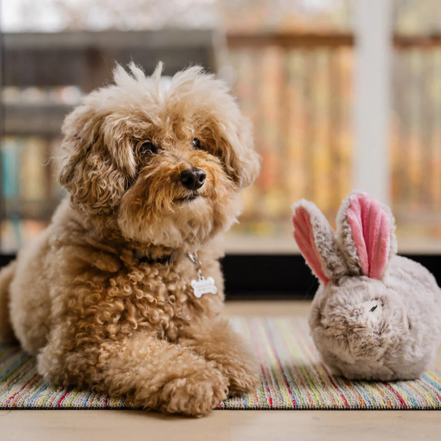 P.L.A.Y. FOREST FRIENDS BAXTER THE BUNNY