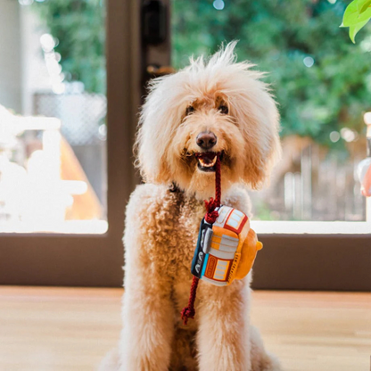 P.L.A.Y. CANINE COMMUTE COLLECTION - SAN PUP-CISCO CABLE CAR