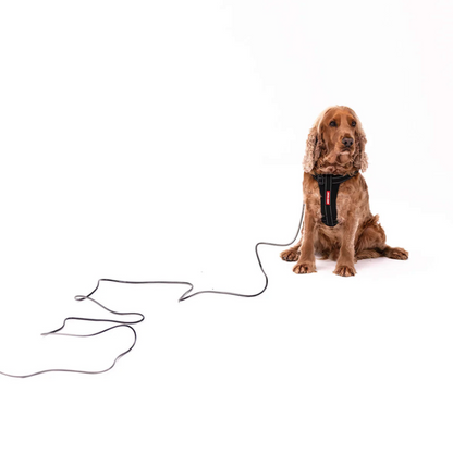 ED Slimline Track'n Train Leash - Black (5m)