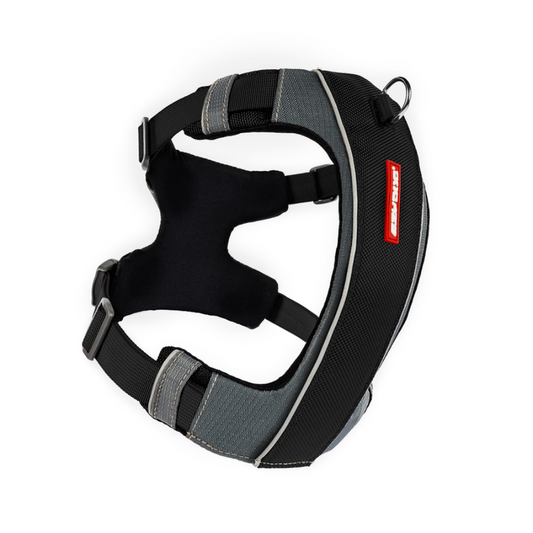 ED X-Link Harness - Black XL