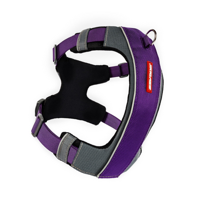 ED X-Link Harness - Purple S