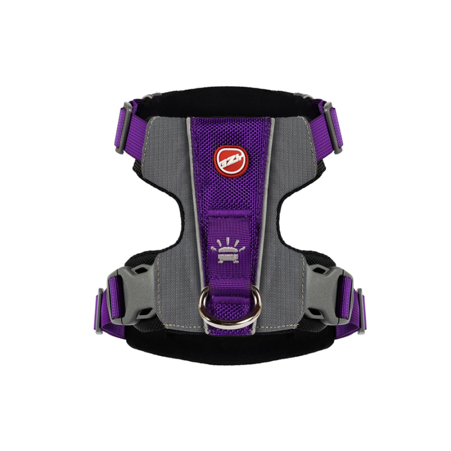 ED X-Link Harness - Purple S