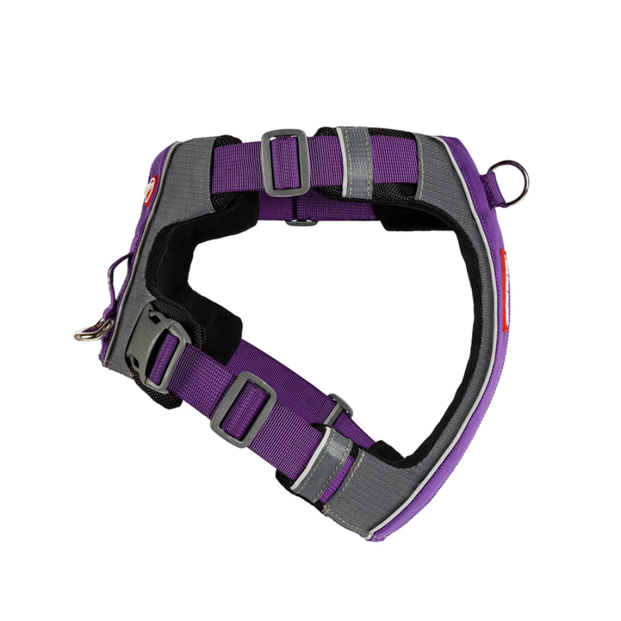 ED X-Link Harness - Purple S