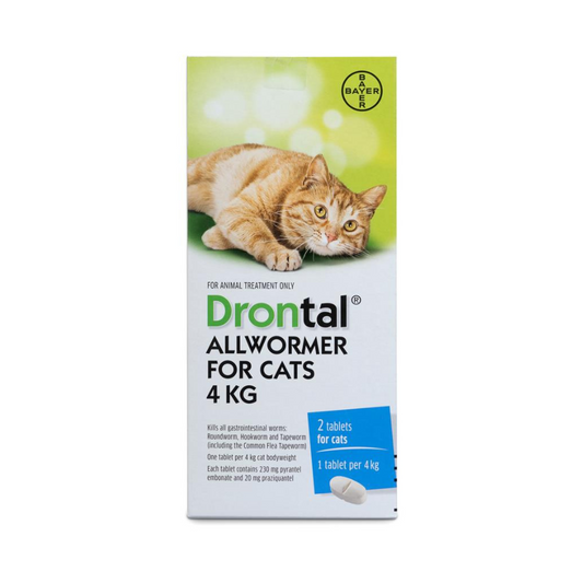 Drontal All Wormer For 4kg Cats 2 tablets