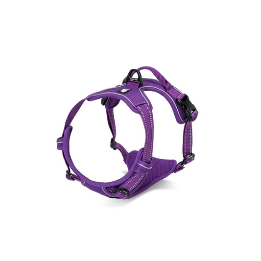 Deluxe Mesh Harness - Purple L