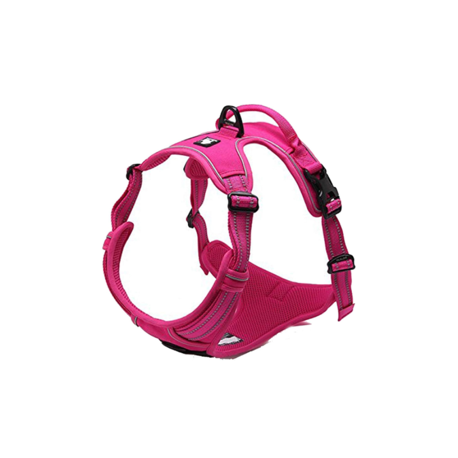 Deluxe Mesh Harness - Fuchsia L