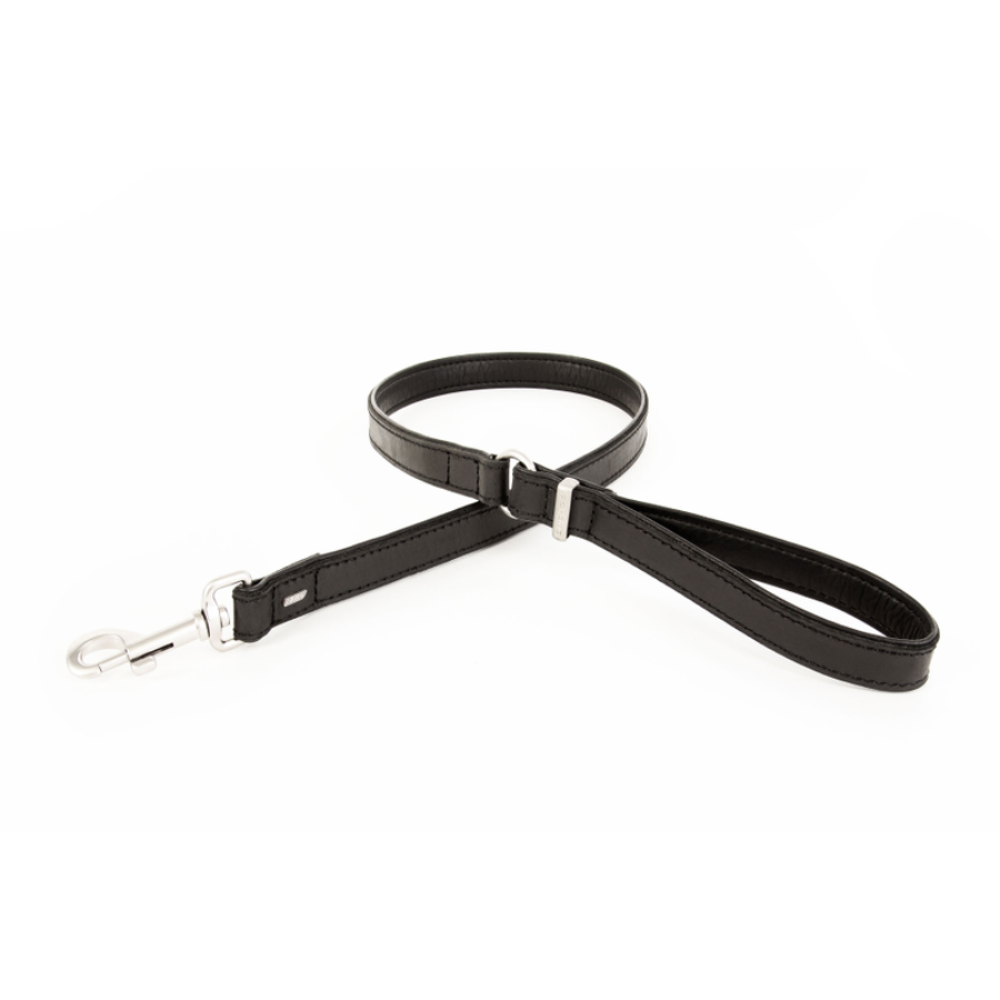 ED Oxford Leash - Black