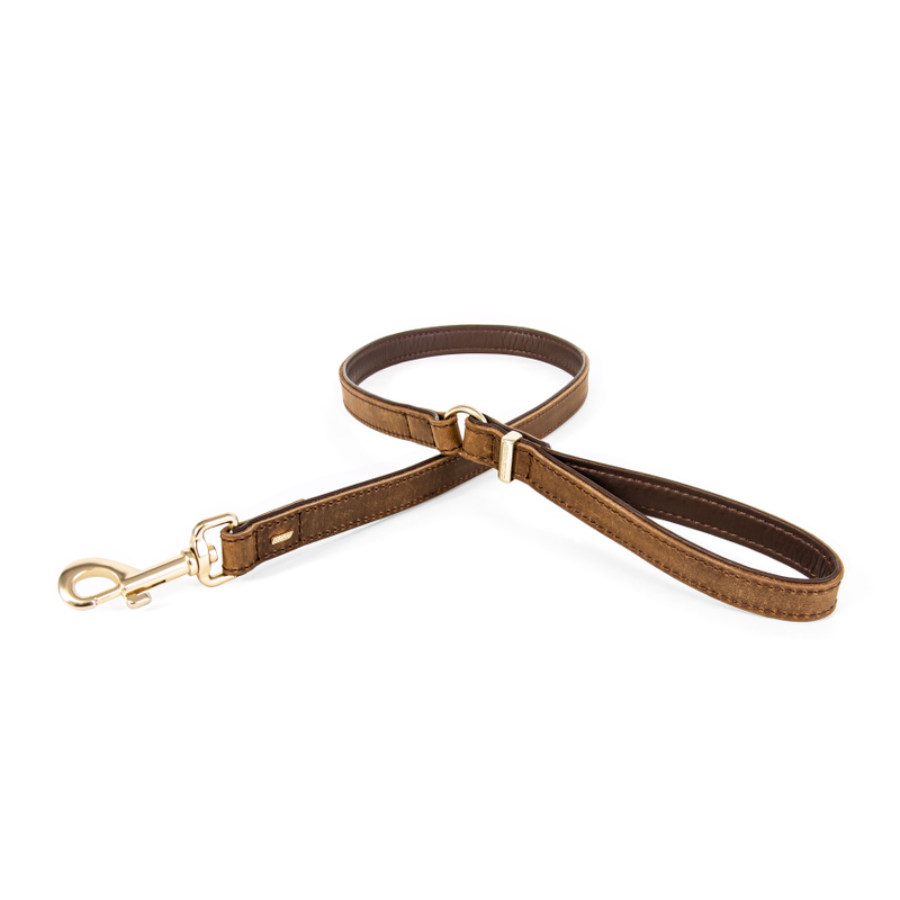 ED Oxford Leash - Brown