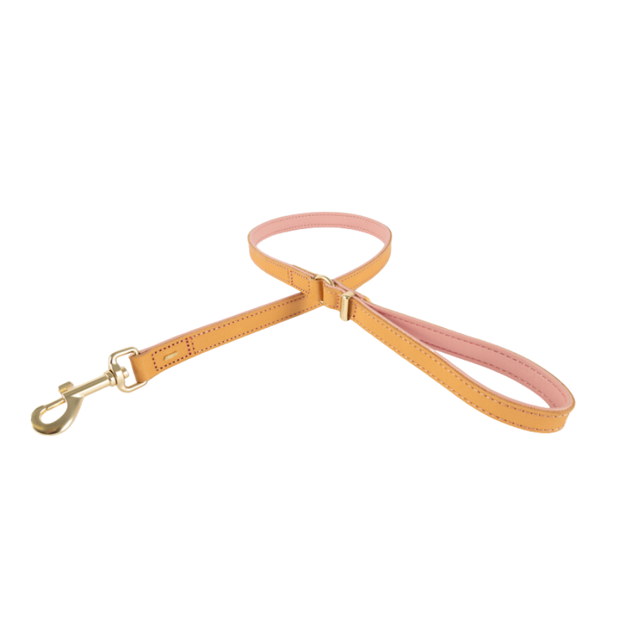 ED Oxford Leash - Blush