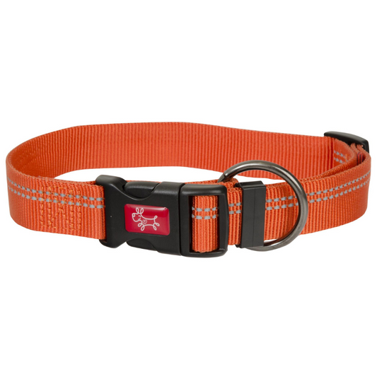 Yours Droolly Adjustable Reflective Collar - Orange - (Toy)