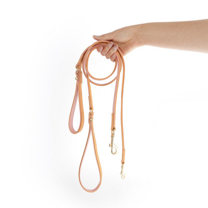 ED Oxford Leash LITE - Blush