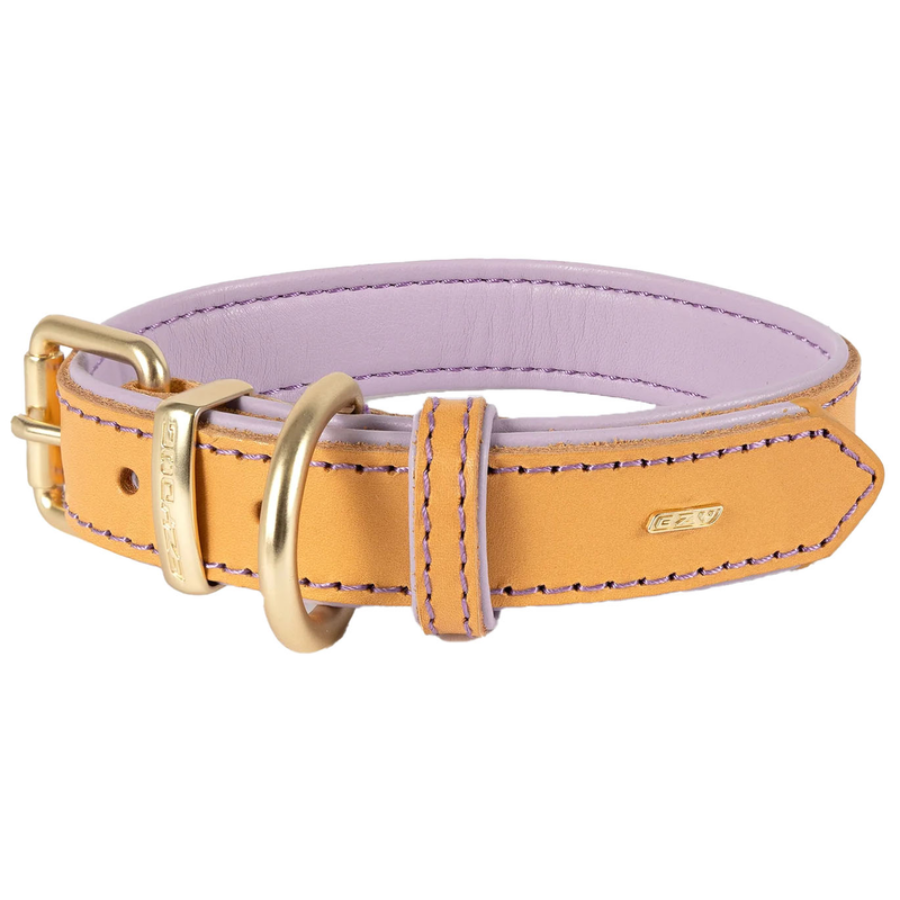 ED Oxford Collar - Lilac XS