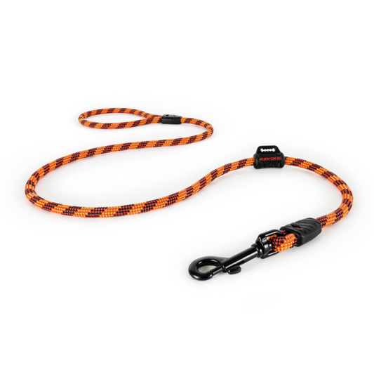 ED Summit Leash - Orange