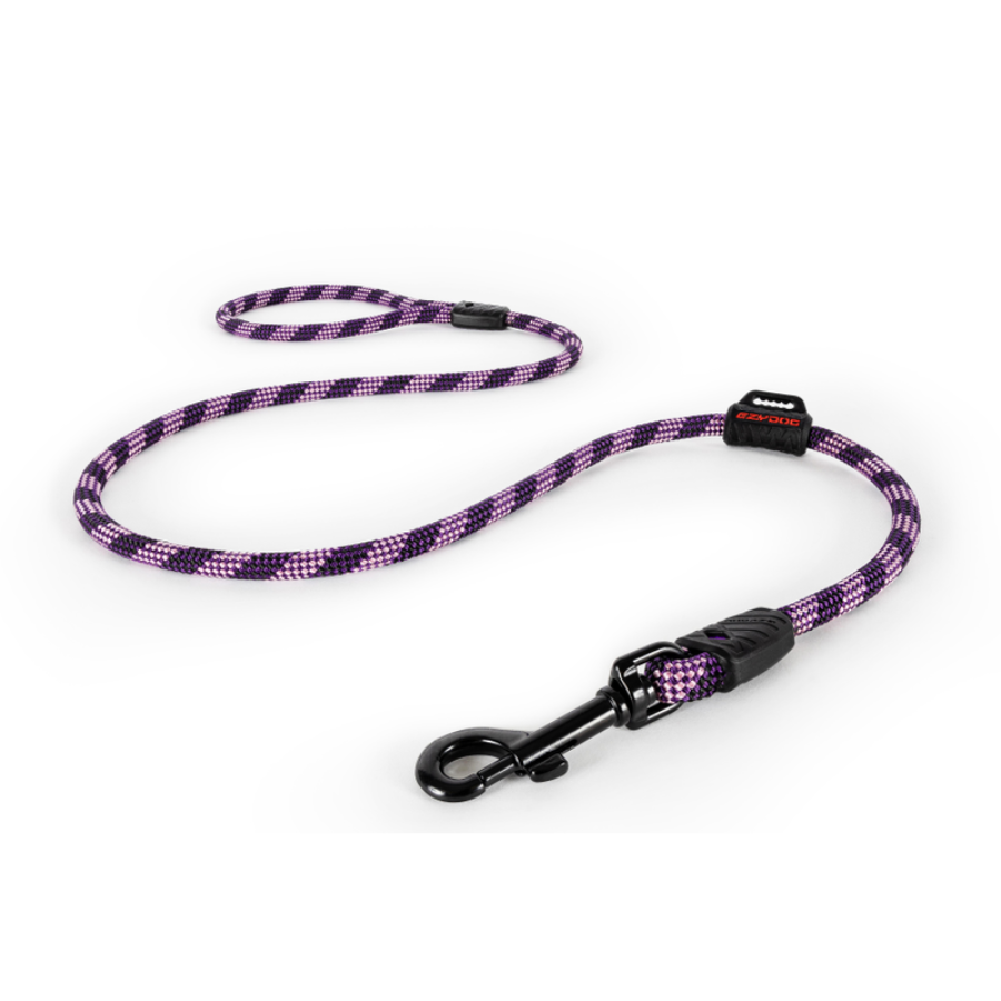 ED Summit Leash - Purple