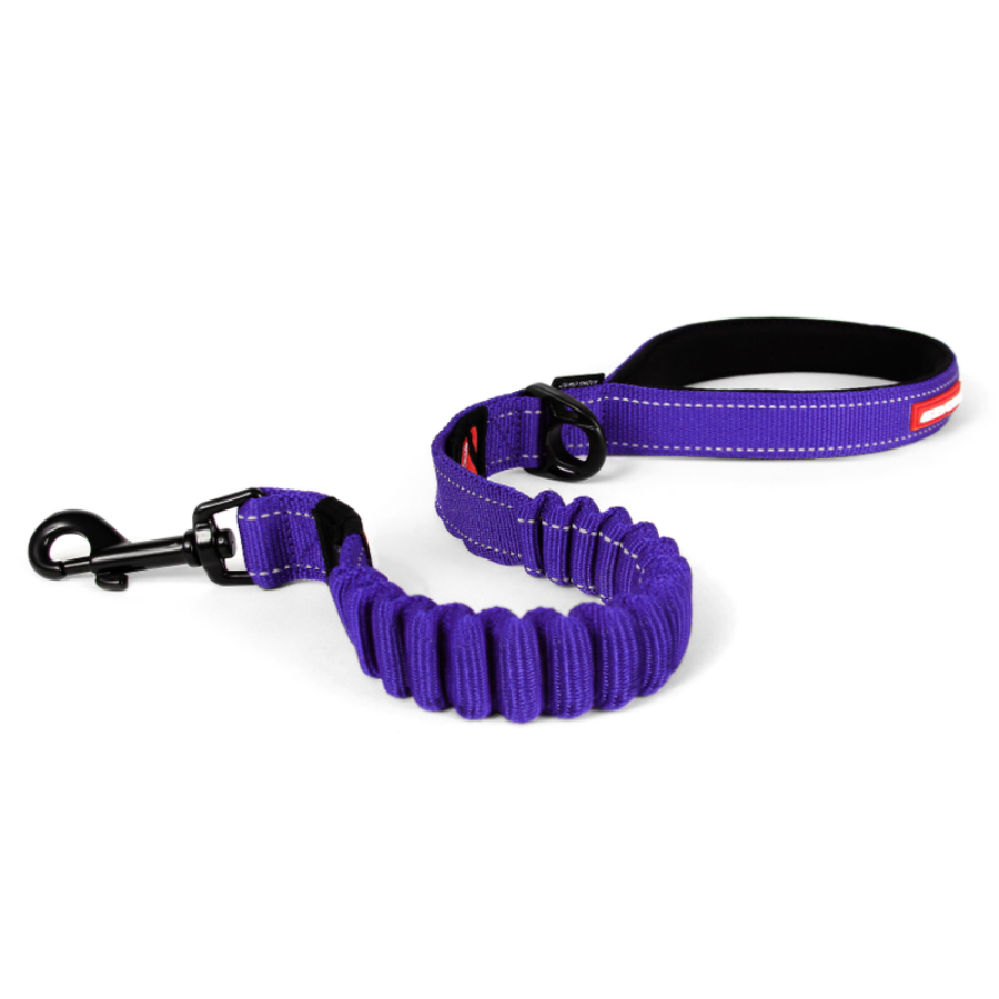 ED Zero Shock Leash - Purple (60cm)