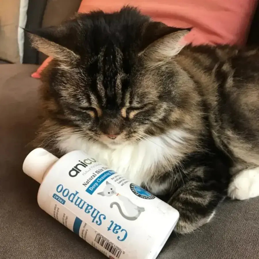 Anicura Cat Shampoo