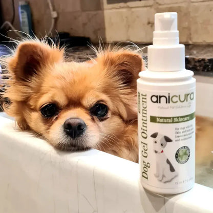 Anicura Dog Gel