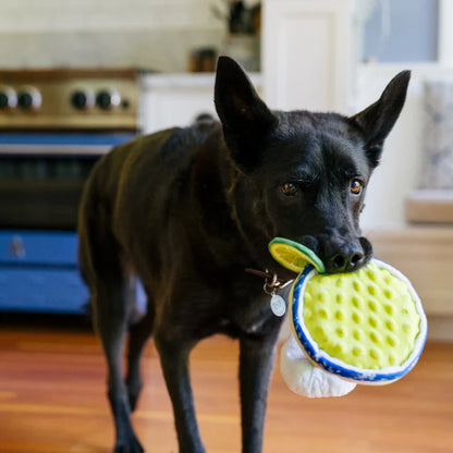 P.L.A.Y. BARKTENDER - MARGARITA